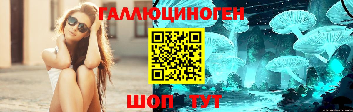 Симферополь  Псилоцибиновые грибы Psilocybe  Вход с VPN 